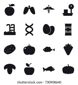 16 vector icon set : pool, berry, mushroom, apple, fish, pumpkin
