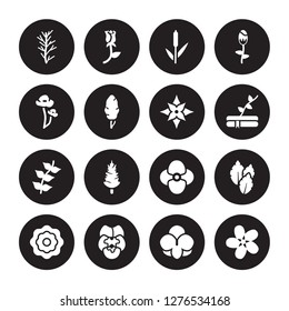 16 vector icon set : Rosemary, Orchid, Pansy, Peony, Peppermint, Oleander, Poppy, Pinnate, Poinsettia isolated on black background