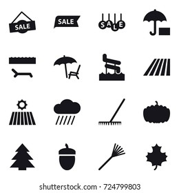 16 vector icon set : sale, lounger, aquapark, field, rain cloud, rake, pumpkin, spruce, acorn, maple leaf