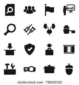 16 vector icon set : search document, group, flag, presentation, magnifier, baggage, wardrobe, repair tools, pan, acorn
