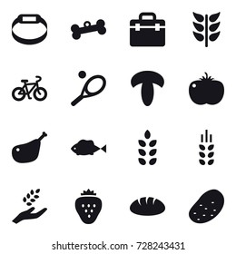 16 vector icon set : smart bracelet, bone, bike, tennis, spikelets, harvest, strawberry, bread, potato