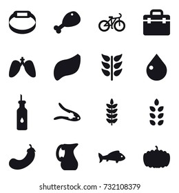 16 vector icon set : smart bracelet, chicken leg, bike, drop, walnut crack, spikelets, eggplant, jug, fish, pumpkin