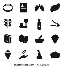 16 vector icon set : smart bracelet, walnut crack, mortar, berry, grape, harvest, pear, pumpkin