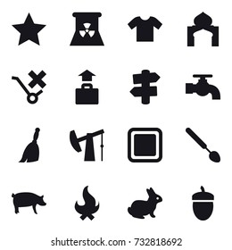 16 vector icon set : star, nuclear power, t-shirt, minaret, baggage, signpost, water tap, broom, cutting board, big spoon, pig, fire, rabbit, acorn