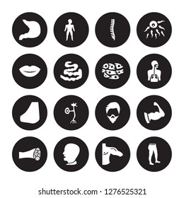 16 Vector Icon Set : Stomach, Men Shoulder, Mouth Open, Muscle Fiber, Muscular Arm, Leg, Smiling Mouth Showing Teeth, Nose Side View, Skin Cells Isolated On Black Background