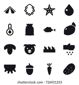 16 vector icon set : tent, hawaiian wreath, starfish, drop, mushroom, pig, seedling, sow, udder, acorn, carrot, potato