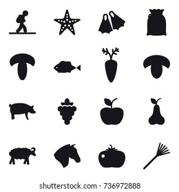 16 vector icon set : tourist, starfish, flippers, mushroom, pig, grape, apple, pear, sheep, horse, tomato, rake