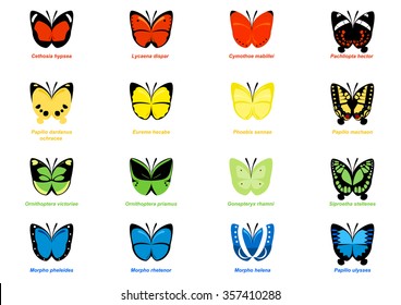 16 vectors of simple butterflies with real-life butterfly wing patterns. Some popular species from Morpho, Ornithoptera (bird-wing butterflies) and Papilo genus included