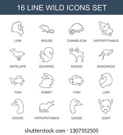 16 wild icons. Trendy wild icons white background. Included line icons such as lion, mouse, chameleon, hippopotamus, antelope, squirrel, moose, kangaroo. wild icon for web and mobile.