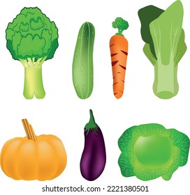 19.	healthy and fresh vegetables, vector realistic