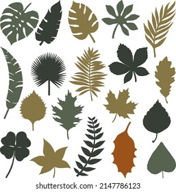 19 vector illustrations of leaves in different shades of green