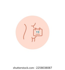 19 weeks pregnant icon. Nineteen weeks of pregnancy calendar icon in vector. Five months pregnant woman sign. Pregnancy week by week.