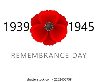 1939 - 1945 Remembrance day. Red poppy vector illustration white background. Memorial date. Red flower symbol. War