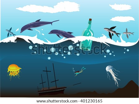1Wreck in the ocean , underwater world, sea depth, dolphins,bottle.