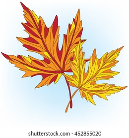 2 Autumn leaves with patterns.