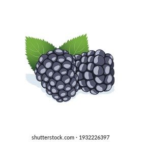 Brombeere Bilder Stockfotos Und Vektorgrafiken Shutterstock