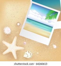 2 Blank Photos With Starfish, Cockleshells And Sand, Vector Illustration