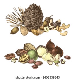 2 bordes con nueces comestibles coloreadas dibujadas a mano. Ilustración del vector