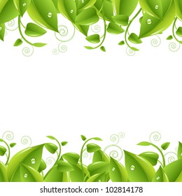 2 Borders With Leaves, Isolated On White Background, Vector Illustration