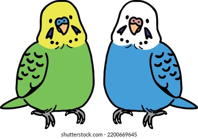 2 budgerigars male and female