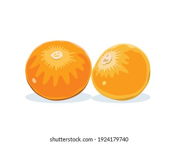 2 Cape gooseberries or Goldenberries isolated on white background.