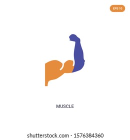 2 color muscle concept vector icon. isolated two color muscle vector sign symbol designed with blue and orange colors can be use for web, mobile and logo. eps 10.