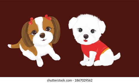 
2 cute little dogs with ribbons and clothes