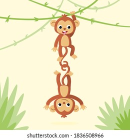 2 cute monkey in jungle