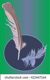 2 different configurations feathers,vector illustration for any design and creative tasks