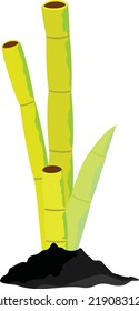 Diseño de animación de bambú bidimensional para tarjeta de saludo