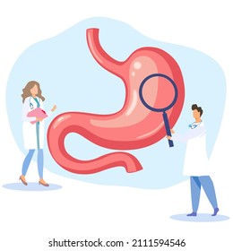 2 doctors around human stomach, a lady doctor holding pink document a doctor holding magnifying glass, health care and medical concept, human internal organ, anatomy 