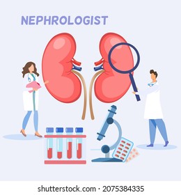 2 doctors standing holding magnifying glass zoom at kidney, a lady doctor holding document board with elements of blood test tube, medicine and telescope 