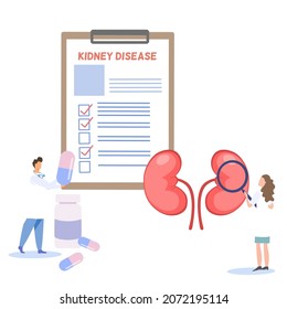 2 Doctors Standing Next To Human Kidney, A Lady Doctor Holding Magnifying Glass Zoom At Kidney, A Doctor Holding Tablets, Medicine With Elements Of Patient Card Document