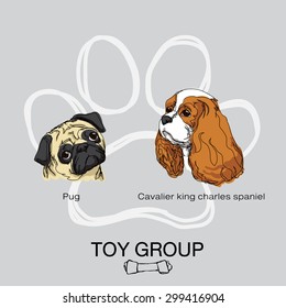 2 dog toy group, pug, cavalier king charles spaniel