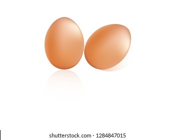 2 eggs with shadow isolate on white background in vector illustration version