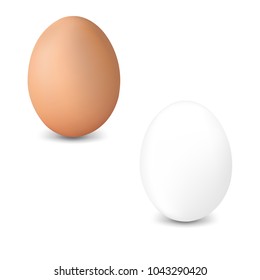 2 Fresh Egg Isolated White Background With Gradient Mesh, Vector Illustration