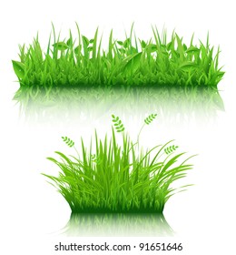 2 Grass Border, Isolated On White Background, Vector Illustration