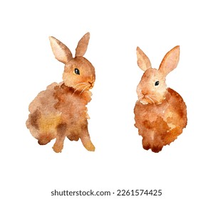 2 hand drawn watercolor rabbits. Brown watercolor rabbits. Chinese new year of rabbit. Easter rabbits.