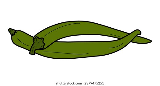 2 isolated intertwined green chili peppers. Latin American and Mexican conventional condiment spices