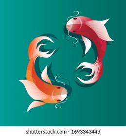 
2 japanese koi fishes swim opposite each other