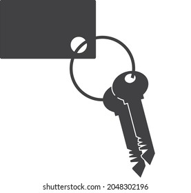 2 Keys in a key chain 