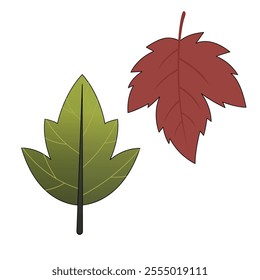 2 leaves of red and dark green color