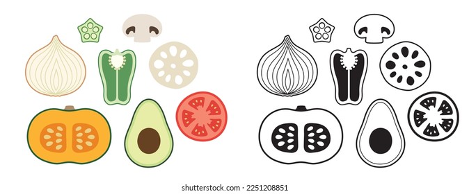 2 patterns vegetable cross sections illustration