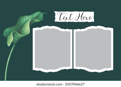 2 photo collage template. vector illustration, new collections