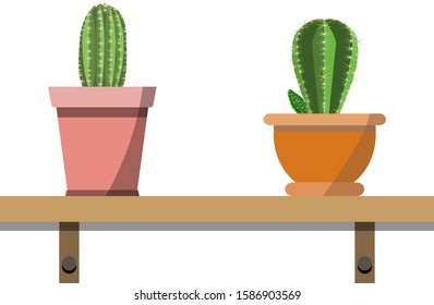 2 potted cactus plants in attractive colorful flower pots against white wall. House plants on woden shelf isolated on white