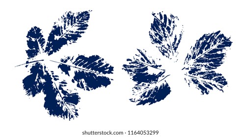 2 print chestnut leaves