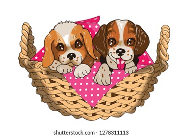 2 puppies sites in basket