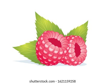 2 raspberries and leaves isolated on white background.