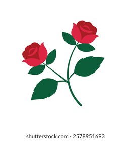 2 rose colorful vector with white background