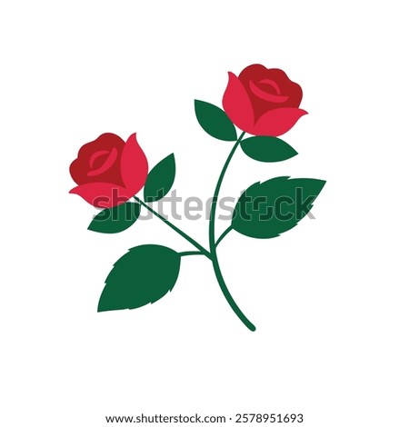 2 rose colorful vector with white background